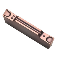 MGMR300-8D-PT FTP125-C1